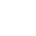 Nosy Globe logo in white script on a transparent background